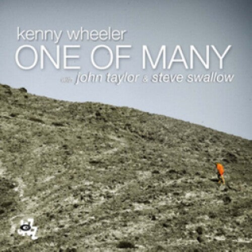 Wheeler,kenny - One Of Many - Music CD
