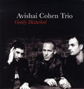 Cohen,avishai - Gently Disturbed - Vinyl Record