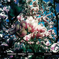 Fennesz / Daniell / Buck - Knoxville - Vinyl Record