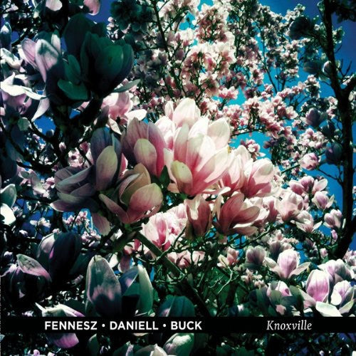 Fennesz / Daniell / Buck - Knoxville - Vinyl Record