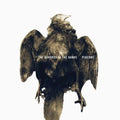 Hundred In The Hands - Pigeons - Vinyl Record
