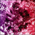 Cahn,pablo / Merveille,cesar - Elle / Fk - Vinyl Record