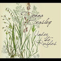 Beasley,donna - Under The Rushes - Music CD