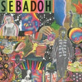 Sebadoh - Smash Your Head On The Punk Rock - Music CD