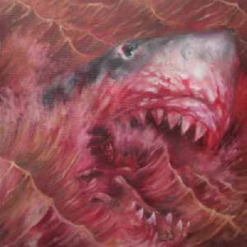 Akimbo - Jersey Shores - Vinyl Record