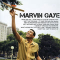 Gaye,marvin - Icon - Music CD