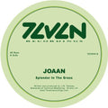 Joaan - 115 State & Splendor In The Grass - Vinyl Record