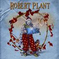 Plant,robert - Band Of Joy - Music CD