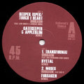 Dubkasm Remixed: Part 2 / Various - Dubkasm Remixed: Part 2 / Various - Vinyl Record