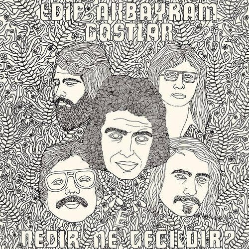 Akbayram,edip / Dostlar - Nedir Ne Degildir - Vinyl Record