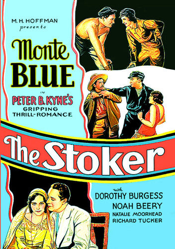 Stoker - Stoker - DVD