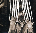 Gabriel,peter - Peter Gabriel 2: Scratch - Music CD
