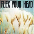 Flex Your Head / Various - Flex Your Head / Various - Vinyl Record