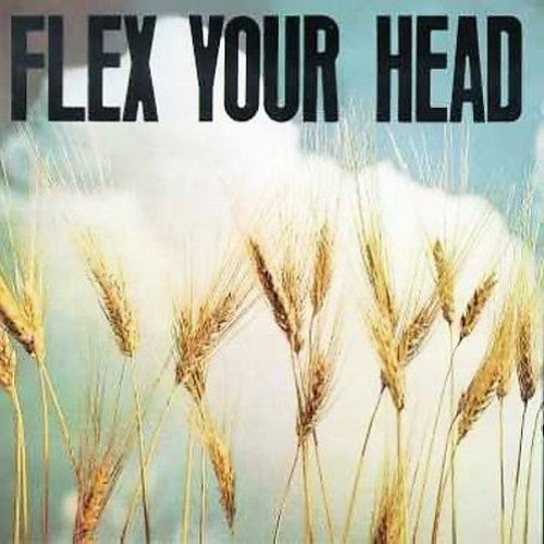 Flex Your Head / Various - Flex Your Head / Various - Vinyl Record