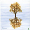 Liamm - Liamm - Music CD