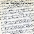 Eicher,stephan - Stephan Eicher Spielt Noise Boys - Vinyl Record