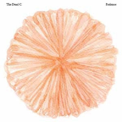 Dead C - Patience - Music CD