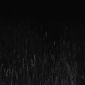 Nadja / Baker,aidan - White Nights & Drone Fields - DVD