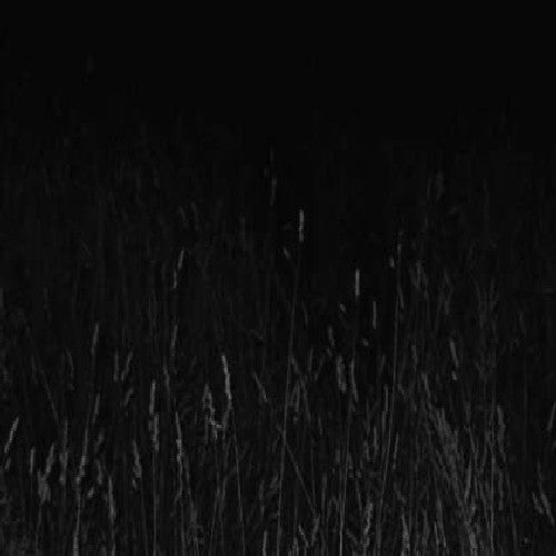 Nadja / Baker,aidan - White Nights & Drone Fields - DVD