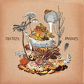 Paisajes [LP] Vinyl Record