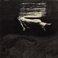 Evans,bill / Hall,jim - Undercurrent - Vinyl Record