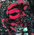 Warpaint - Fool - Vinyl Record