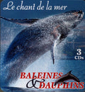 Le Chant De La Mer - Baleines & Dauphins - Music CD