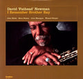 Newman,david - I Remember Brother Ray - Vinyl Record