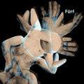 Funf / Various - Funf / Various - Music CD