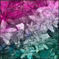 Digitaline - Okoubaka - Vinyl Record