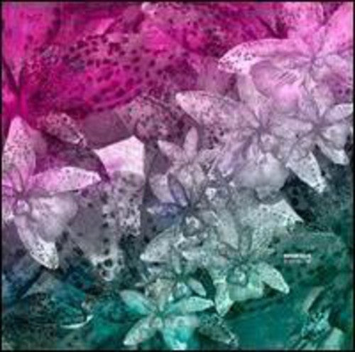 Digitaline - Okoubaka - Vinyl Record