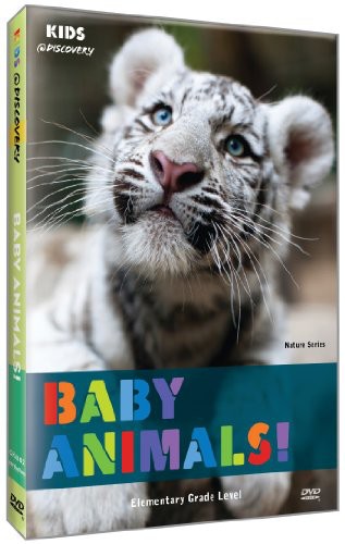 Baby Animals - Baby Animals - DVD