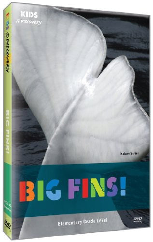 Big Fins - Big Fins - DVD