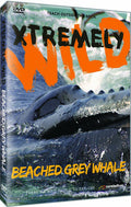Beached Grey Whale - Beached Grey Whale - DVD