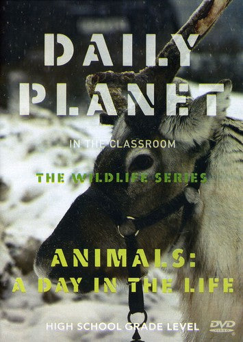 Animals: A Day In The Life - Animals: A Day In The Life - DVD