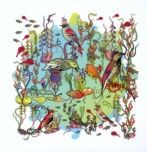 Zorn,john - Dreamers: Gentle Side - Vinyl Record