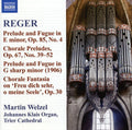 Reger / Welzel - Reger 10: Organ Works - Music CD