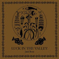 Luck In The Valley (180g LP) Vinyl Record