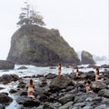 Principles Of Geometry - Burn The Land & Boil The Oceans - Music CD