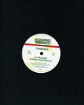 Tensnake - In The End (i Want You To Cry) - Vinyl Record