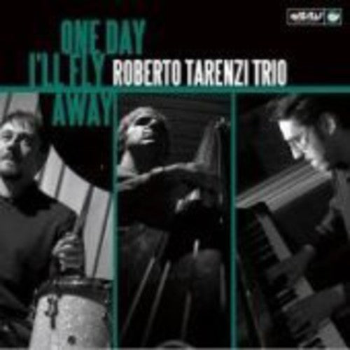 Tarenzi,roberto Trio - One Day I'll Fly Away - Vinyl Record