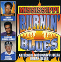 Mississippi Burnin Blues / Various - Mississippi Burnin Blues / Various - Music CD