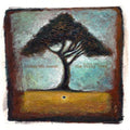 Van Snook,zoon - Falling From The Nutty Tree - Music CD