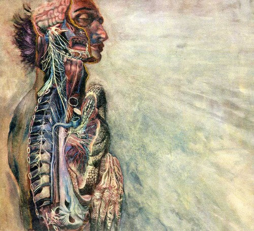 Fear & Nervous System - Fear & Nervous System - Music CD