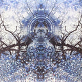 Astralasia - Coloured In Dream - Vinyl Record