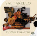 Zanetti / Ensemble Braccio - Saltarello - Music CD