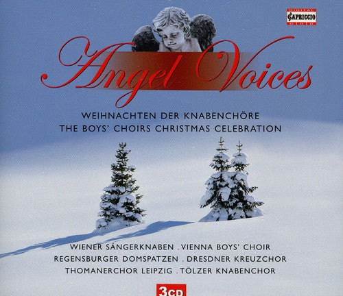 Angel Voices: Boys Choirs Xmas Celebration / Var - Angel Voices: Boys Choirs Xmas Celebration / Var - Music CD