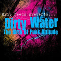 Dirty Water: The Birth Of Punk Attitude / Various - Dirty Water: The Birth Of Punk Attitude / Various - Vinyl Record