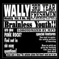 Wally / Third Year Freshman - Wally / Third Year Freshman - Vinyl Record