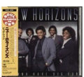 New Horizons - Gonna Have Big Fun - Vinyl Record